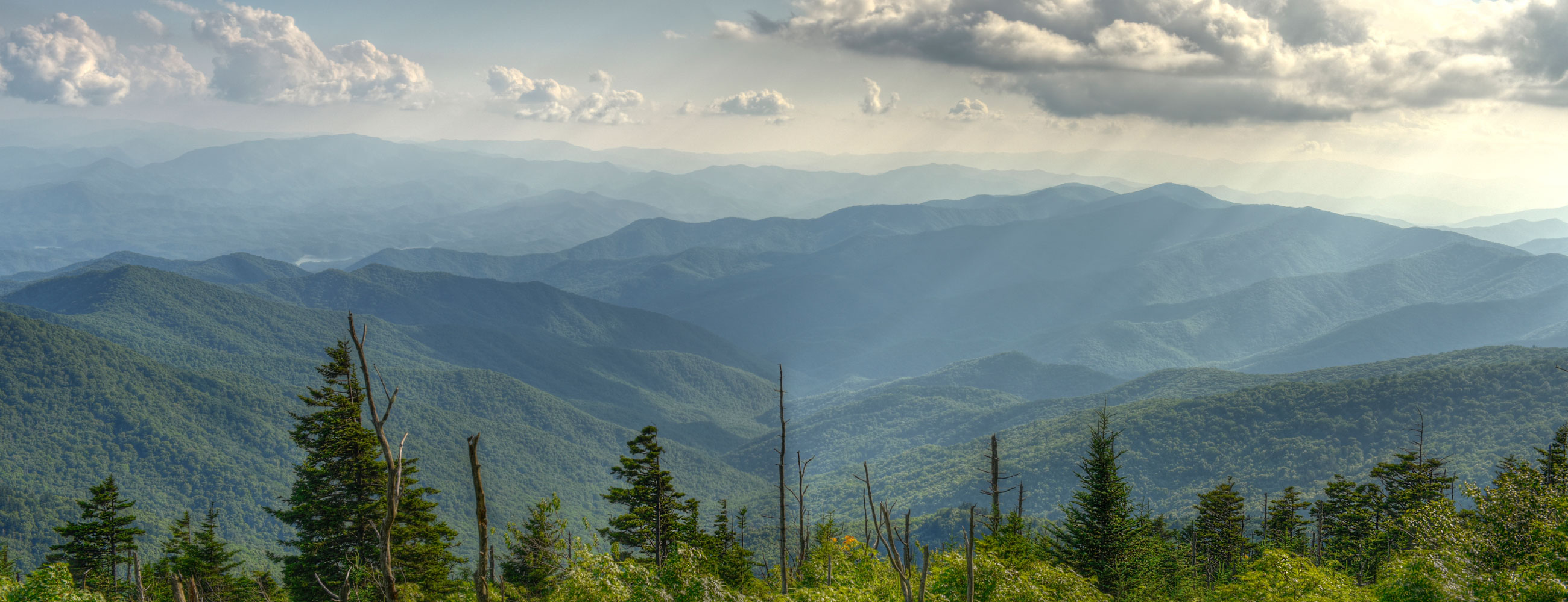 Satguru kirana store